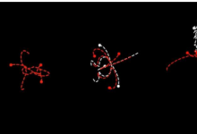科學(xué)家發(fā)現(xiàn)時間對稱性和物理定律