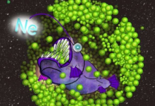 研究人員發(fā)現(xiàn)某個大質量恒星內部的氖氣可以消耗核中的電子
