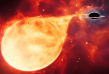 科學家在柱狀星系郊區(qū)發(fā)現(xiàn)中質(zhì)黑洞