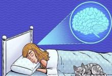 睡眠與神經(jīng)發(fā)育障礙的語言技能有關
