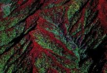 航空科學發(fā)現婆羅洲森林的復雜地貌控制