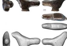 從垃圾堆中回收的古代鳥類雕像是東亞3D藝術(shù)的最古老實(shí)例