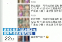 多家電商平臺(tái)被曝售藏羚羊絨披肩