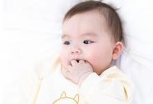 1歲以下寶寶可以一起來(lái)喝茶嗎分析