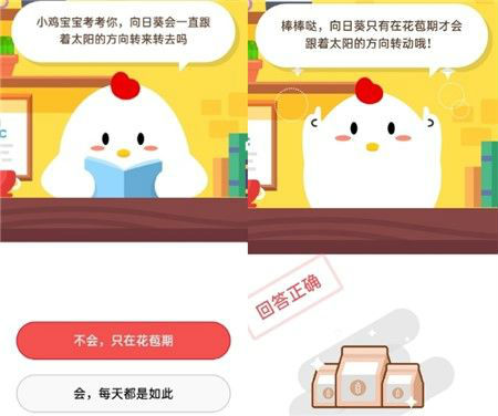 螞蟻莊園小課堂10月21日問題答案 向日葵會(huì)一直跟著太陽(yáng)的方向轉(zhuǎn)嗎