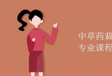 教育資訊:中草藥栽培與鑒定專(zhuān)業(yè)課程有哪些