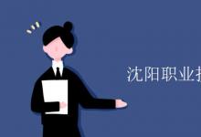 教育資訊:沈陽(yáng)職業(yè)技術(shù)學(xué)院是幾本