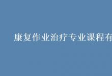 教育資訊:康復(fù)作業(yè)治療專(zhuān)業(yè)課程有哪些