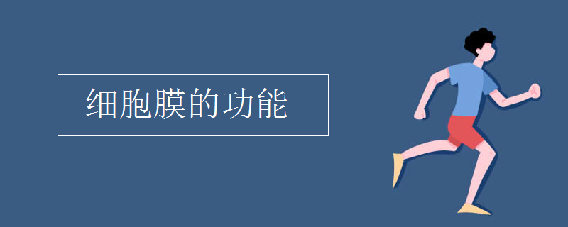 細胞膜的功能