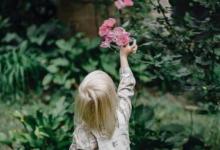如何快速的培養(yǎng)幼兒的口語表達(dá)能力方法
