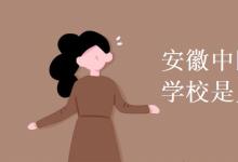 教育資訊：安徽中醫(yī)藥高等?？茖W(xué)校是幾本