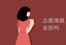 教育資訊:志愿填報(bào)只能填一個(gè)專(zhuān)業(yè)組嗎