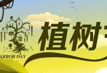 日常生活：植樹節(jié)是通過(guò)什么形式確定的