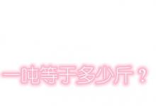 日常生活:一噸相當(dāng)于多少斤