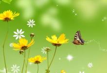 日常生活:關(guān)于三月你好的唯美句子有哪些