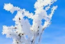 日常生活:中國最冷的地方是什么地方