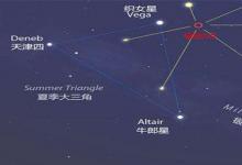 日常生活：織女星屬于哪個星座