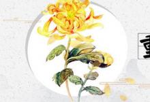 日常生活:重陽節(jié)由來是什么