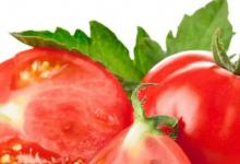 日常生活:沒(méi)成熟的青西紅柿能吃嗎
