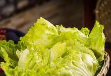 日常生活：100g大白菜和檸檬哪個(gè)含維生素c高