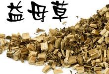 日常生活：益母草什么時候喝最好