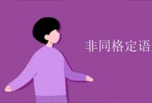 教育資訊：非同格定語(yǔ)是指