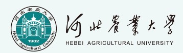 2021年河北農(nóng)業(yè)大學迎新系統(tǒng)入口