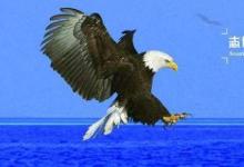 日常生活:窮且益堅(jiān)不墜青云之志什么意思