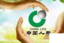 日常生活:中國(guó)十大壽險(xiǎn)排行榜