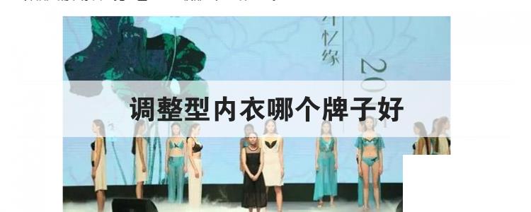 調(diào)整型內(nèi)衣哪個(gè)牌子好