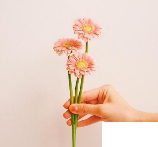 勞動(dòng)節(jié)祝福語(yǔ)精選