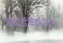 日常生活:曾經(jīng)滄海難為水是什么意思
