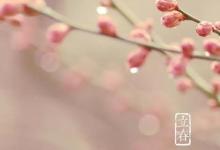 日常生活：立春的民間風(fēng)俗有哪些