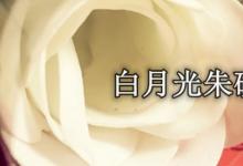 日常生活：白月光和朱砂痣在愛(ài)情中表達(dá)的含義是什么