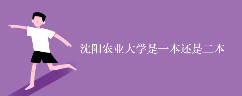 沈陽農(nóng)業(yè)大學是一本還是二本