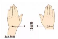 日常生活：陽(yáng)池穴穴位位置圖及作用