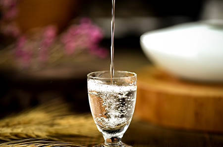 藍(lán)莓簡筆畫2