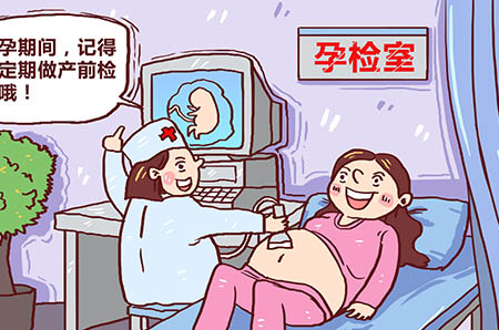 獼猴桃簡(jiǎn)筆畫(huà)怎么畫(huà)6