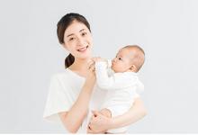 小動物如何畫簡筆畫和寶寶一起畫有趣的簡筆畫