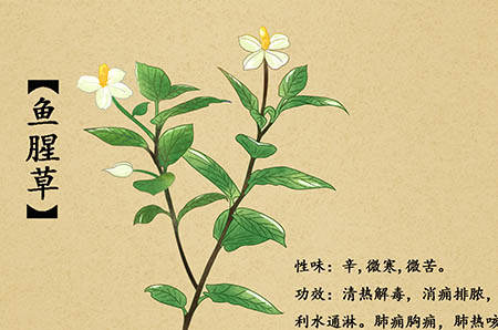 潛水艇簡(jiǎn)筆畫彩色3