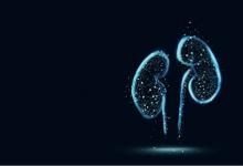 牽牛花簡(jiǎn)筆畫(huà)步驟