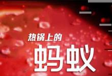 日常生活：熱鍋上的螞蟻歇后語(yǔ)下一句是什么
