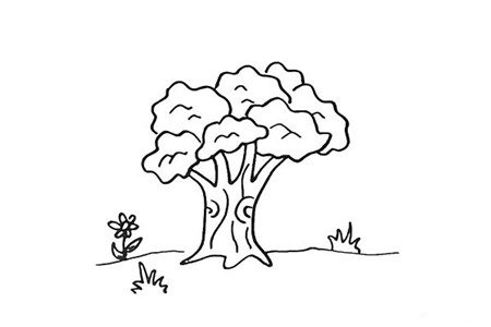 大樹彩色簡(jiǎn)筆畫的畫法5