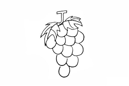 葡萄彩色簡(jiǎn)筆畫的畫法3