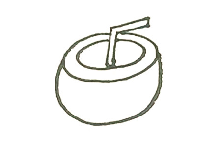 椰子簡筆畫彩色的畫法3