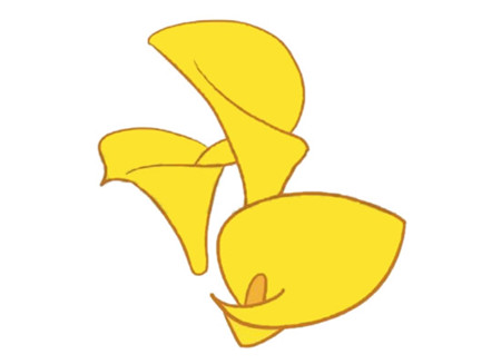 馬蹄蓮簡(jiǎn)筆畫步驟4