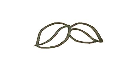 如何畫(huà)枇杷簡(jiǎn)筆畫(huà)步驟1