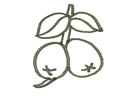 如何畫(huà)枇杷簡(jiǎn)筆畫(huà)步驟3