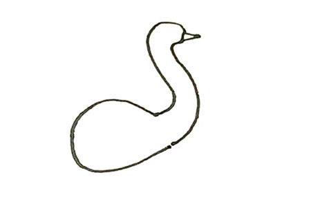 鴕鳥(niǎo)彩色簡(jiǎn)筆畫(huà)的畫(huà)法2