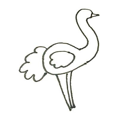 鴕鳥(niǎo)彩色簡(jiǎn)筆畫(huà)的畫(huà)法3